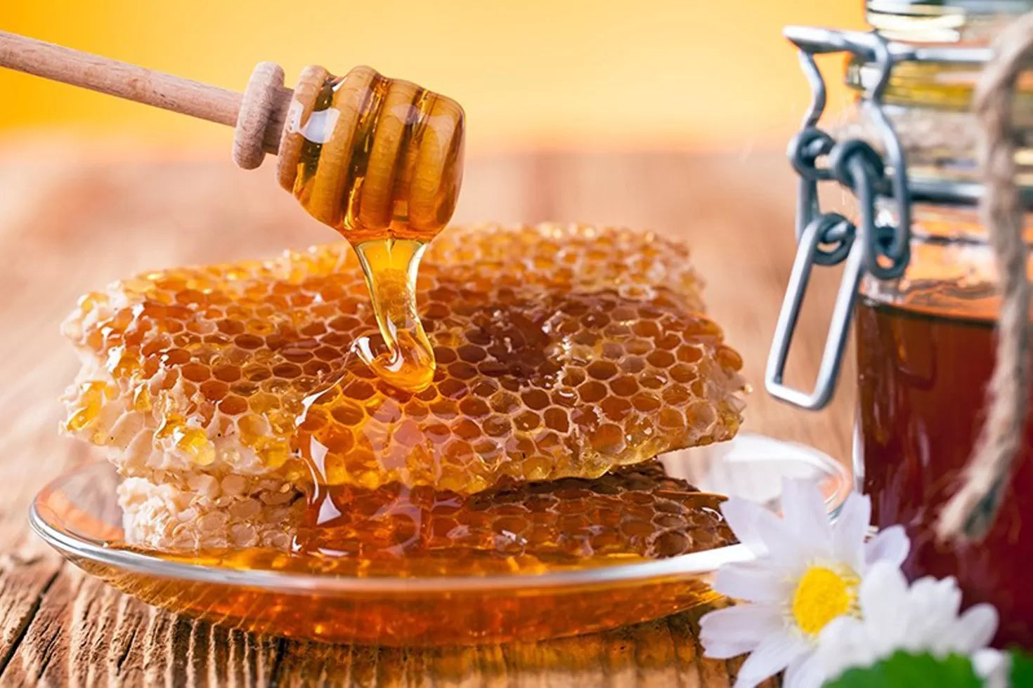 Honey (মধু)
